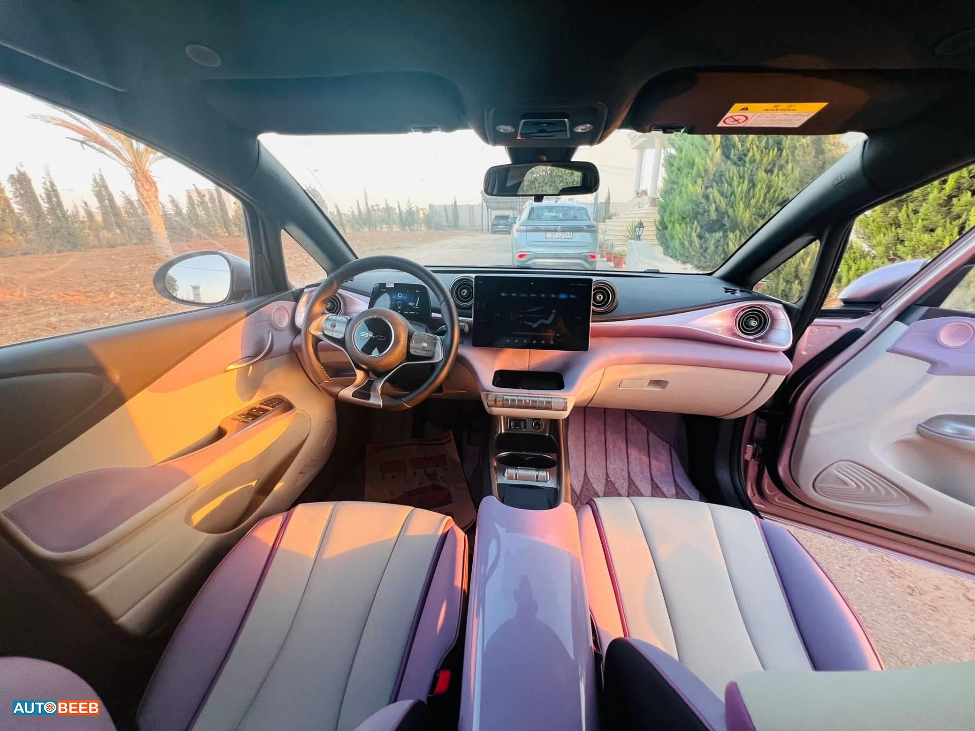 بي واي دي دولفين 2022