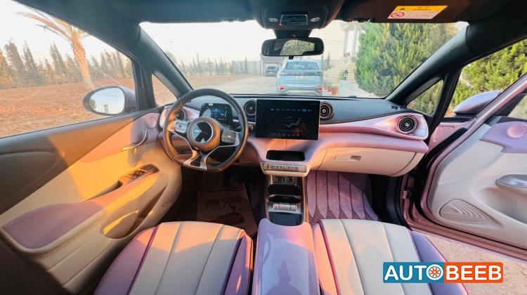 بي واي دي دولفين 2022