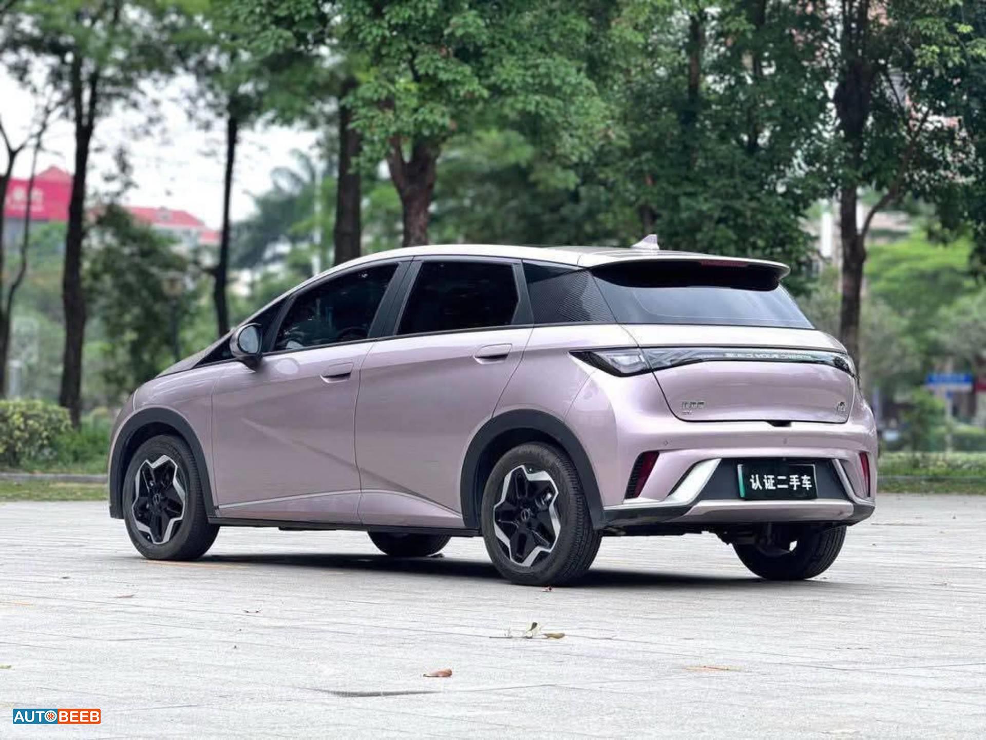 بي واي دي دولفين 2022