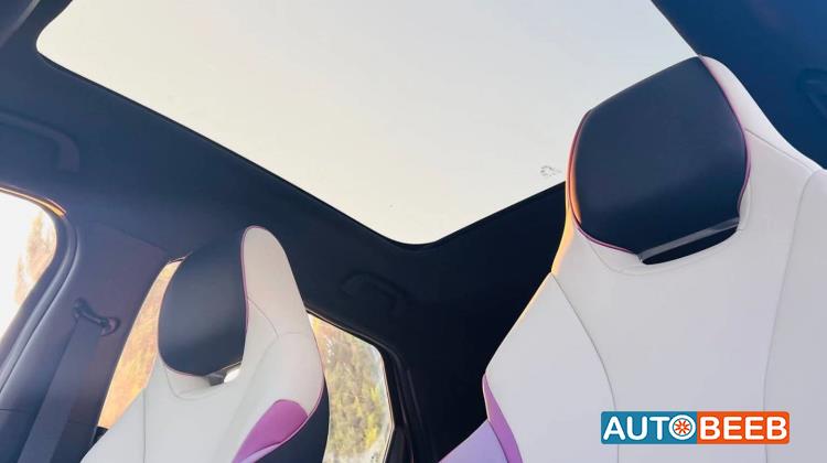 بي واي دي دولفين 2022