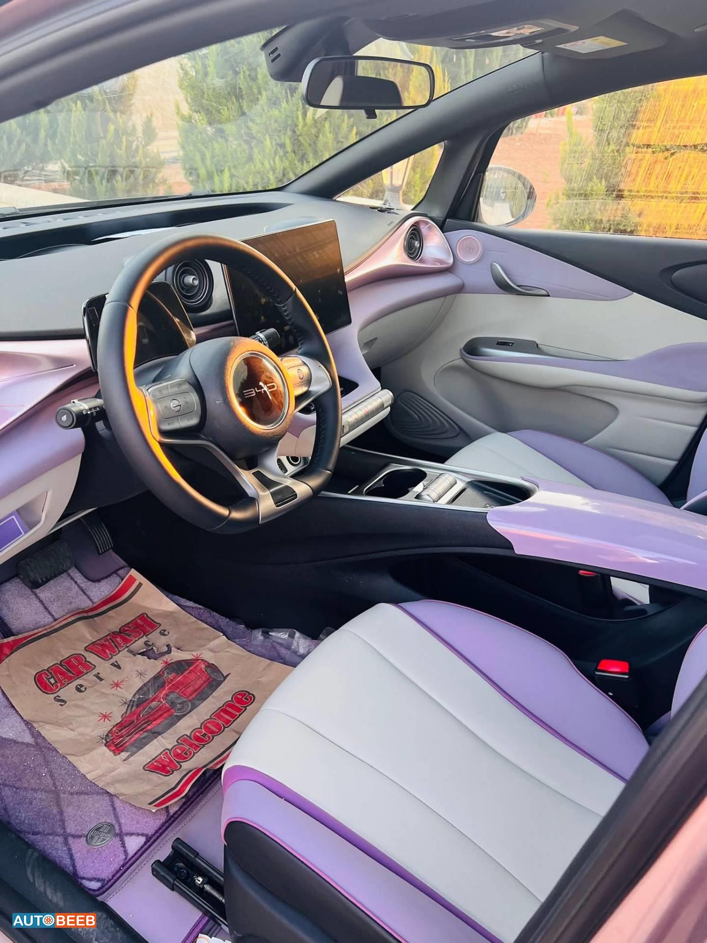 بي واي دي دولفين 2022