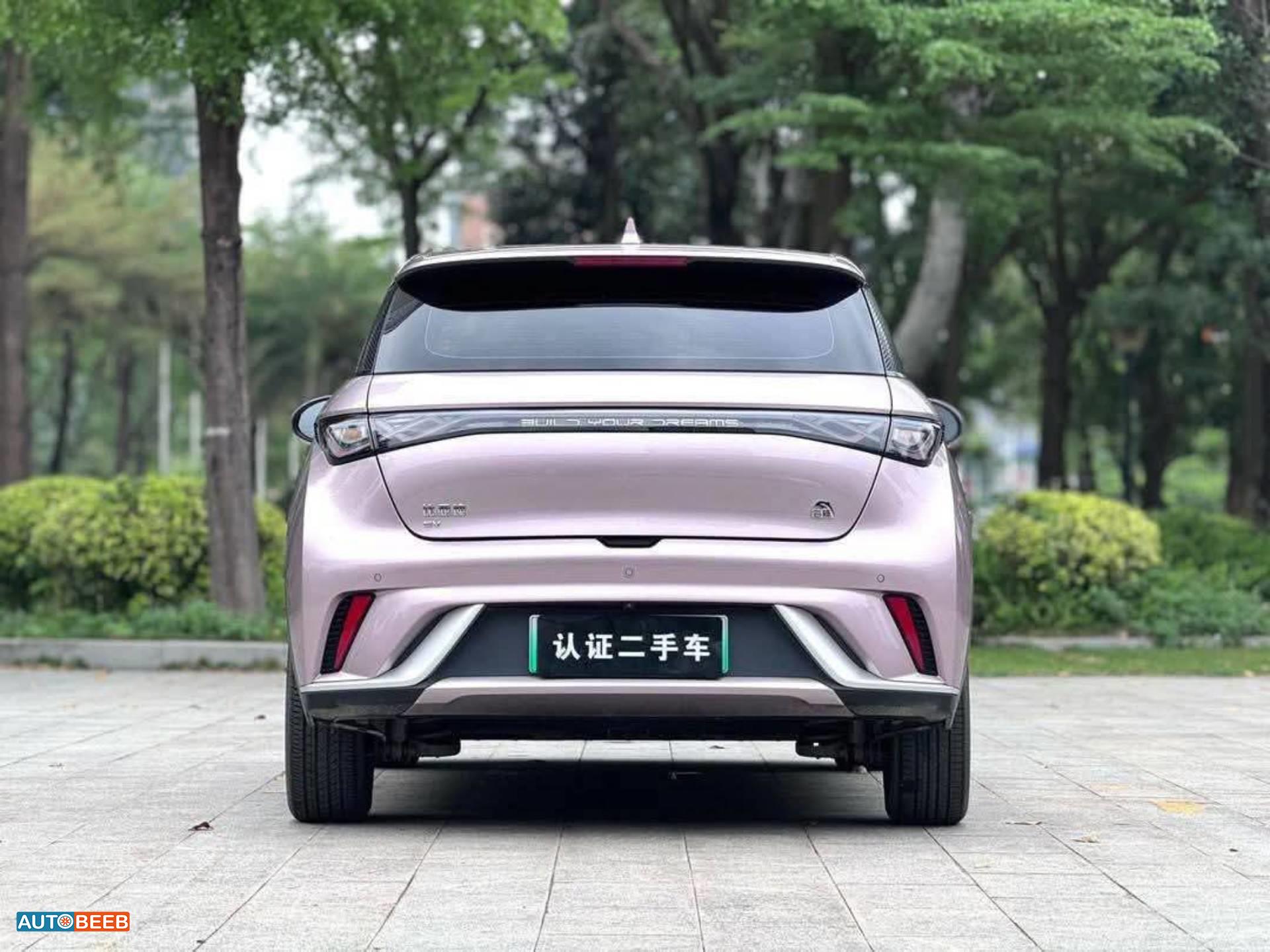 بي واي دي دولفين 2022