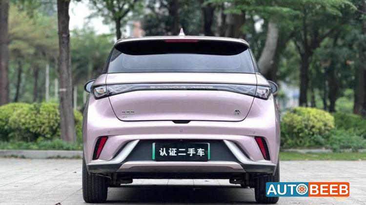 بي واي دي دولفين 2022