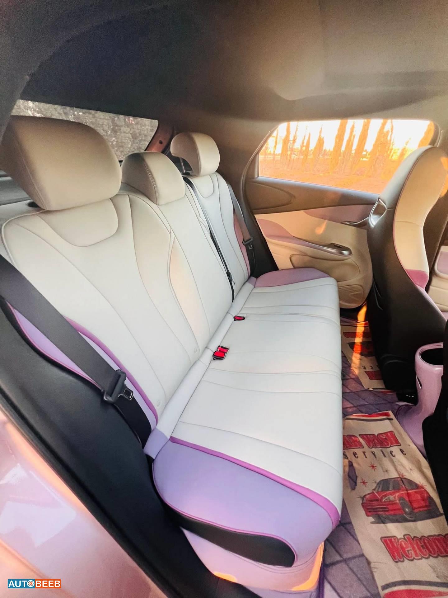 بي واي دي دولفين 2022