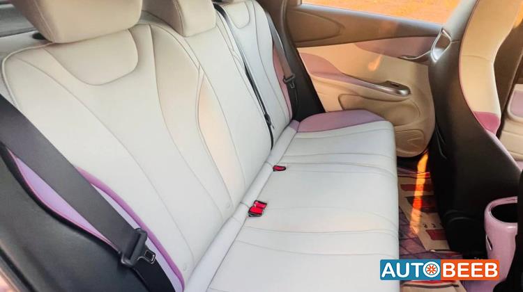 بي واي دي دولفين 2022