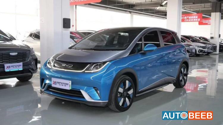 BYD Dolphin 2022