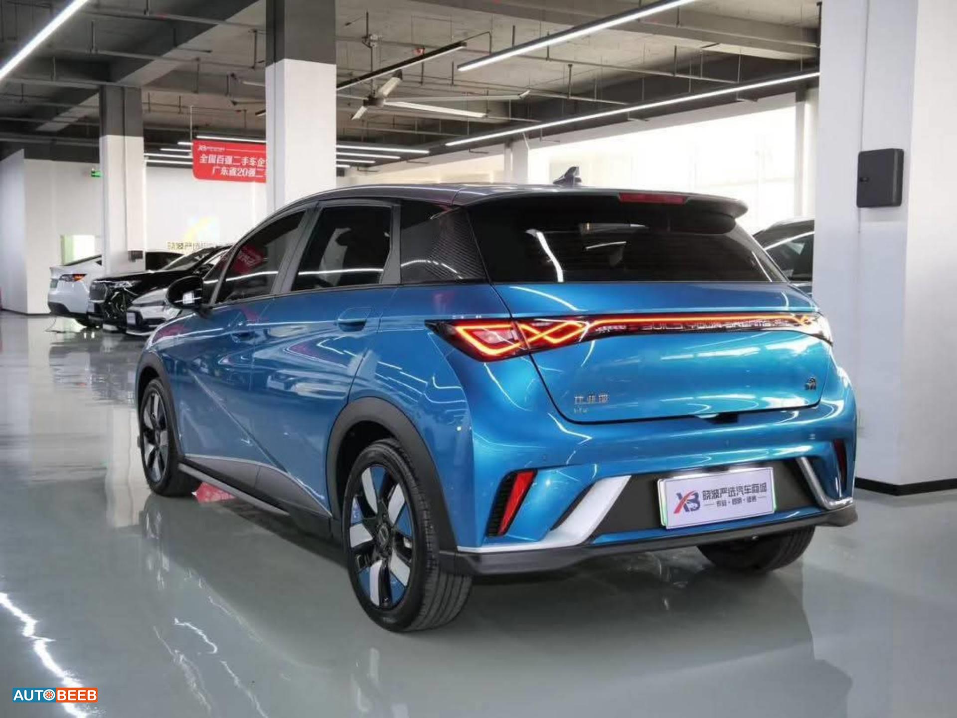 BYD Dolphin 2022