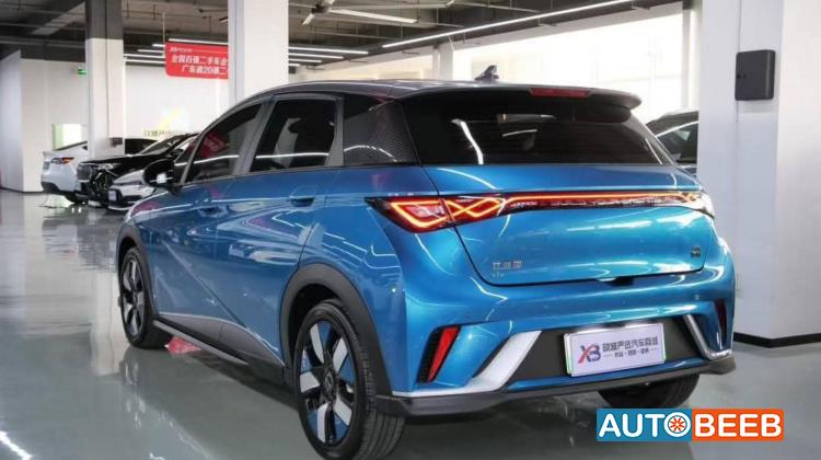 BYD Dolphin 2022