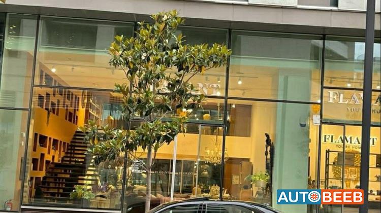 Mercedes Benz S500 2000