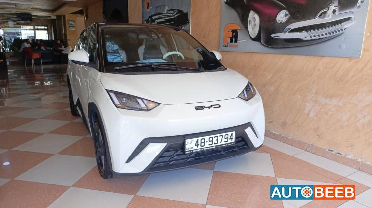 BYD Seagull 2023