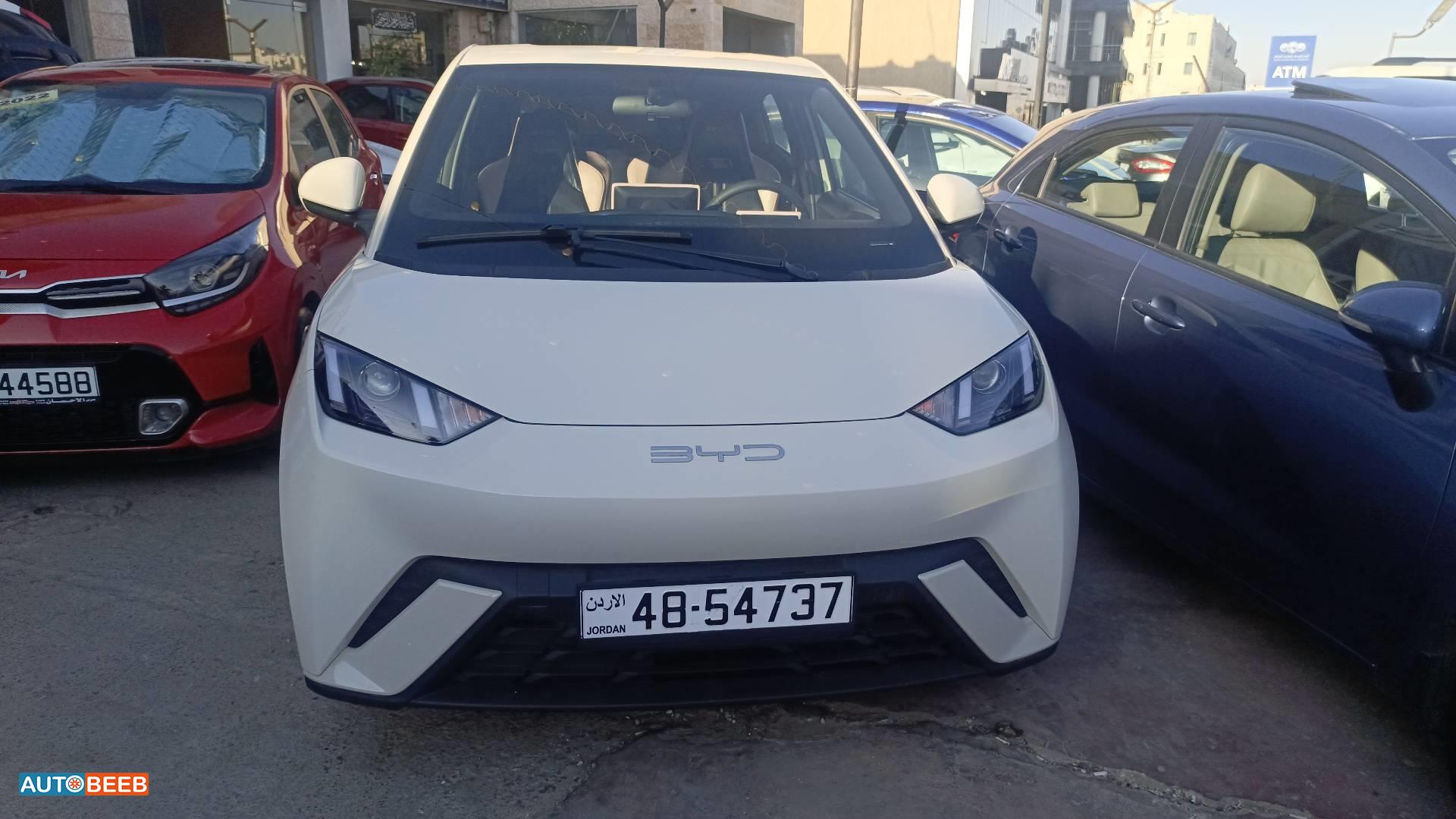 بي واي دي سيجول 2023