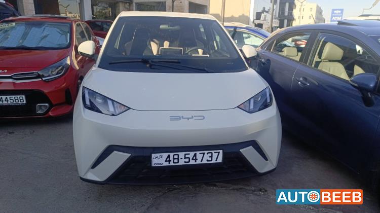 بي واي دي سيجول 2023