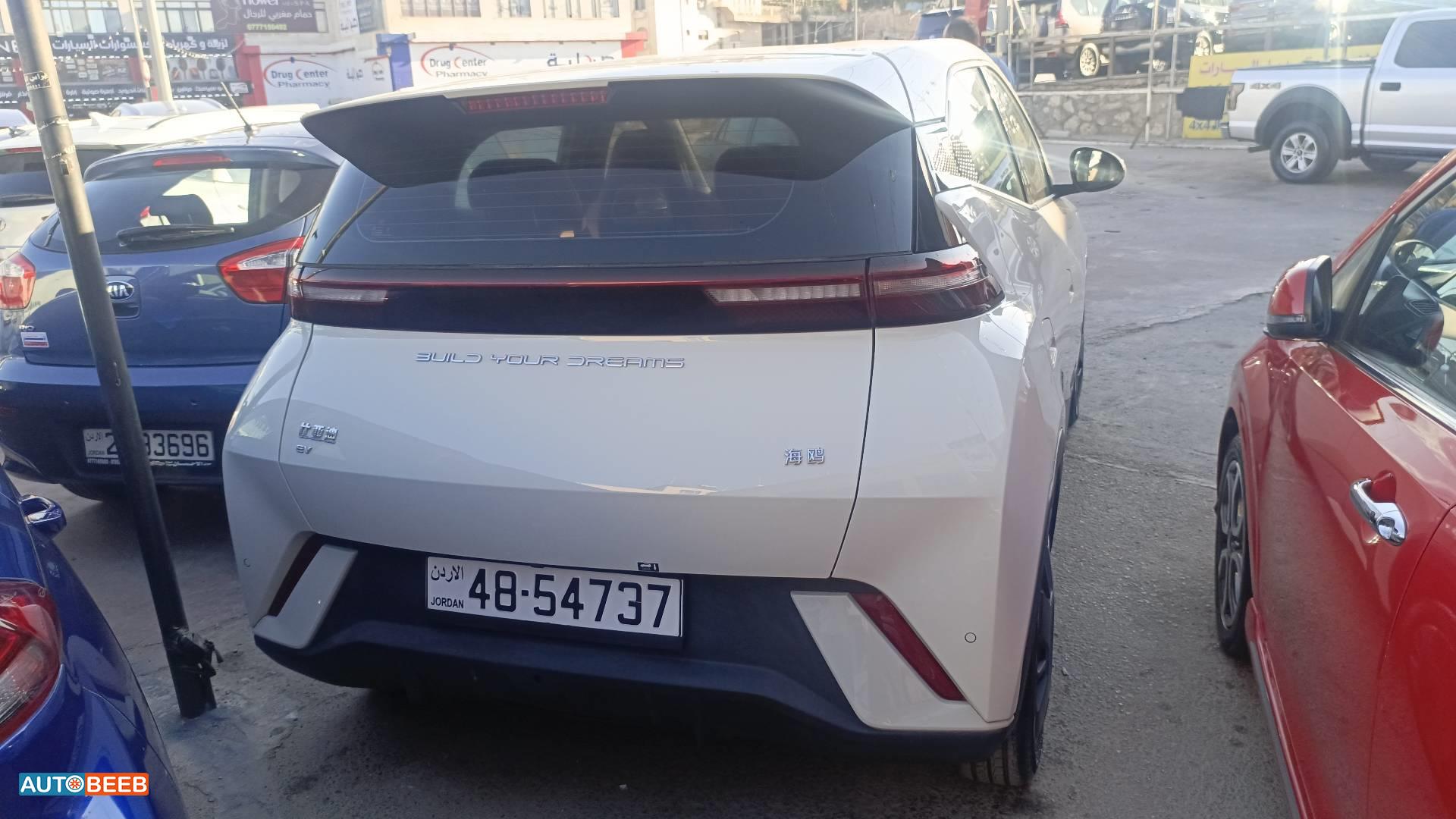 بي واي دي سيجول 2023