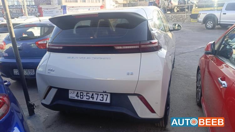 بي واي دي سيجول 2023