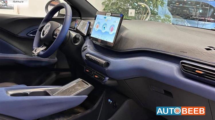 بي واي دي سونج ل 2025