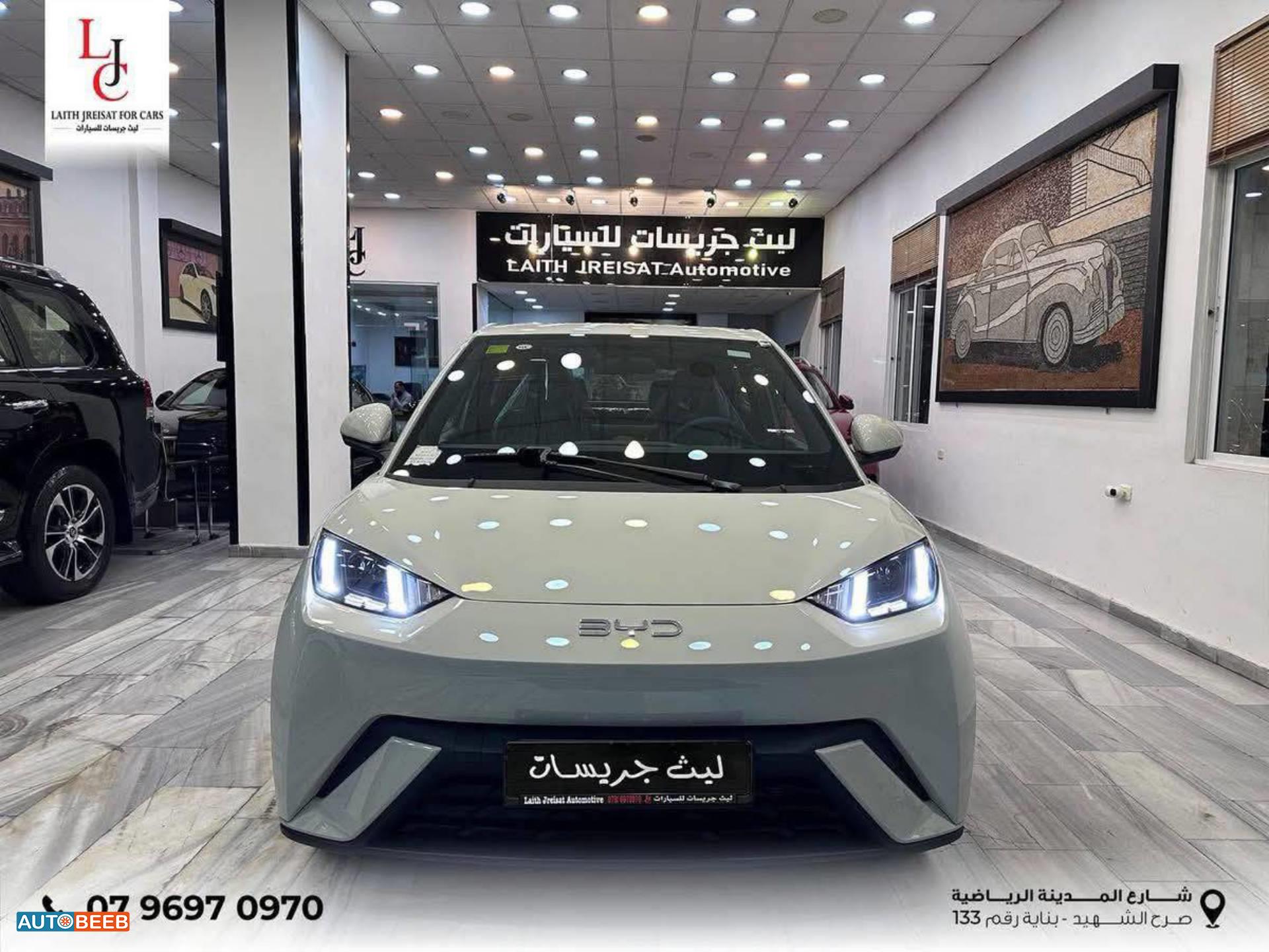 بي واي دي سونج ل 2025