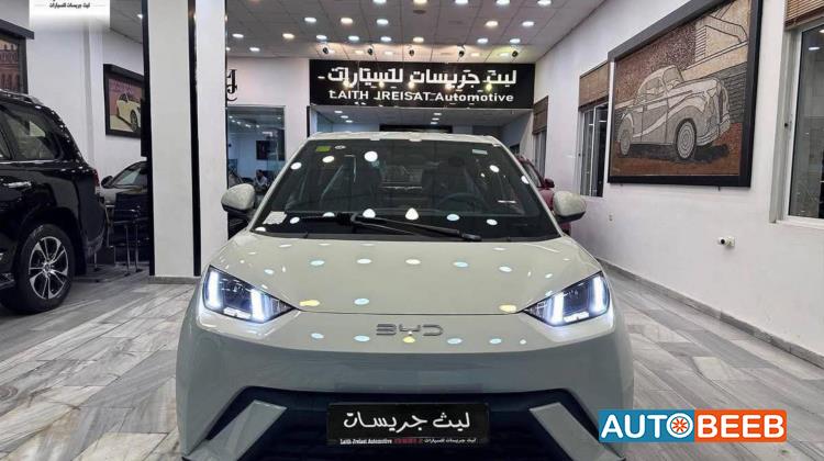 بي واي دي سونج ل 2025