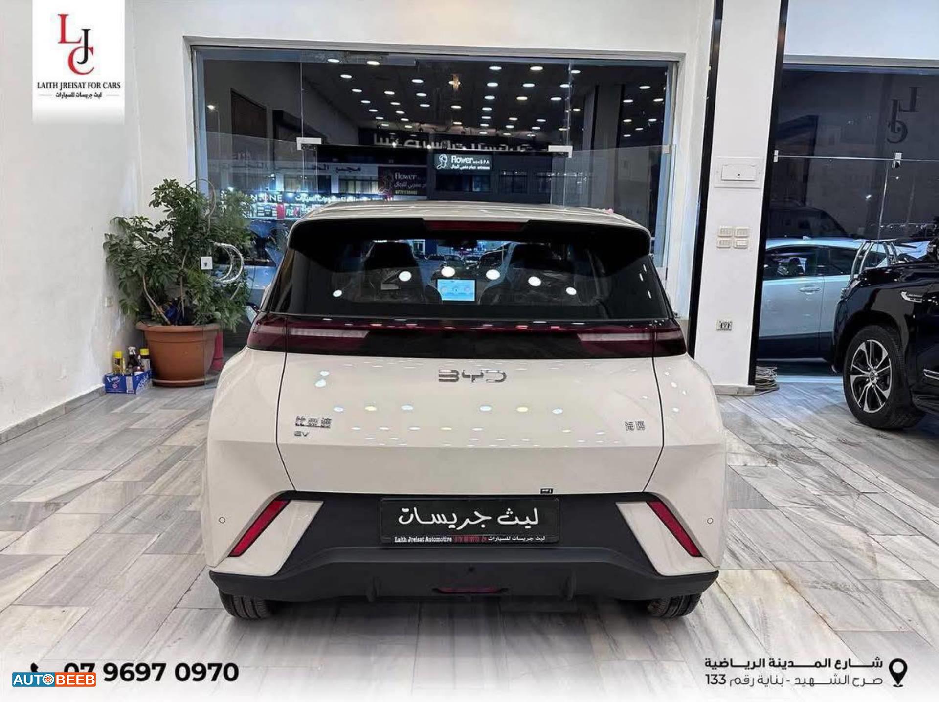 بي واي دي سونج ل 2025