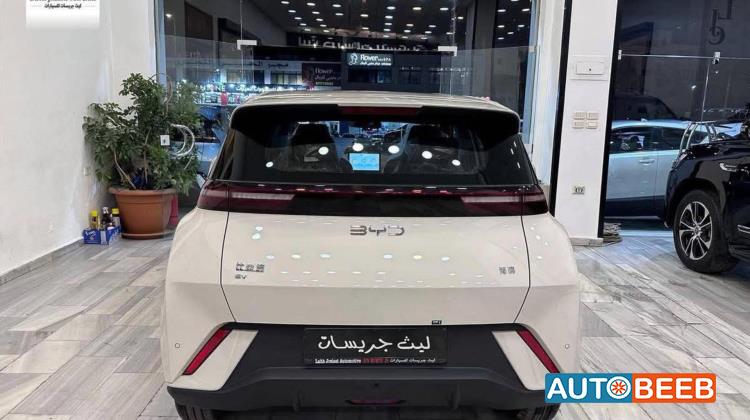 بي واي دي سونج ل 2025