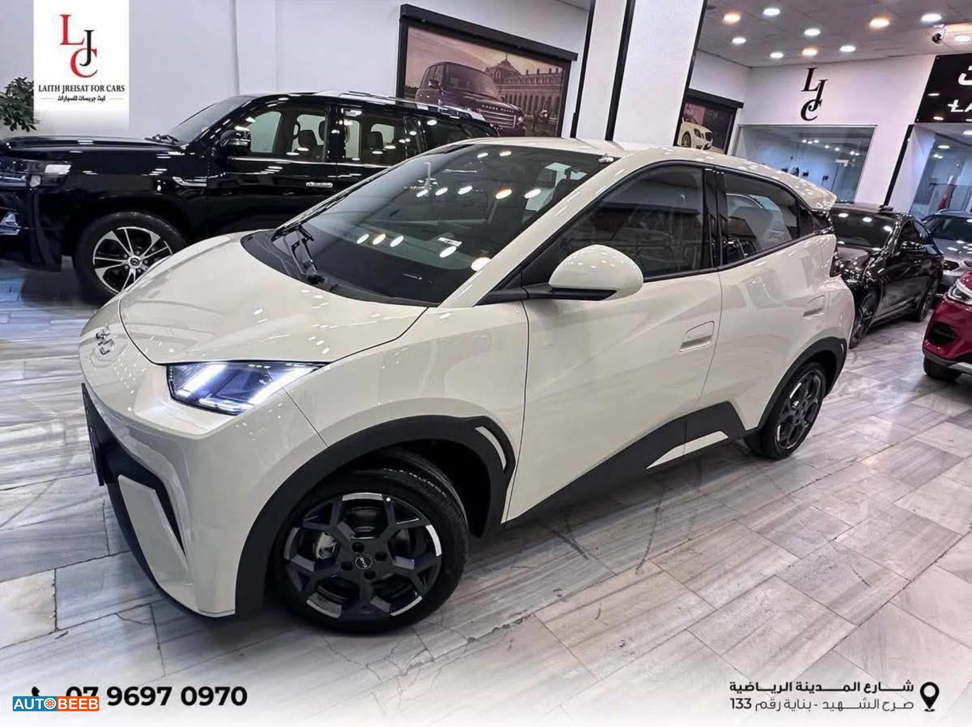 بي واي دي سونج ل 2025