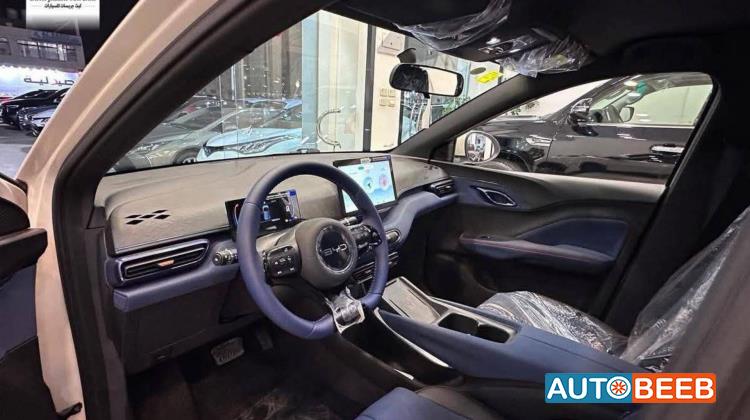 بي واي دي سونج ل 2025