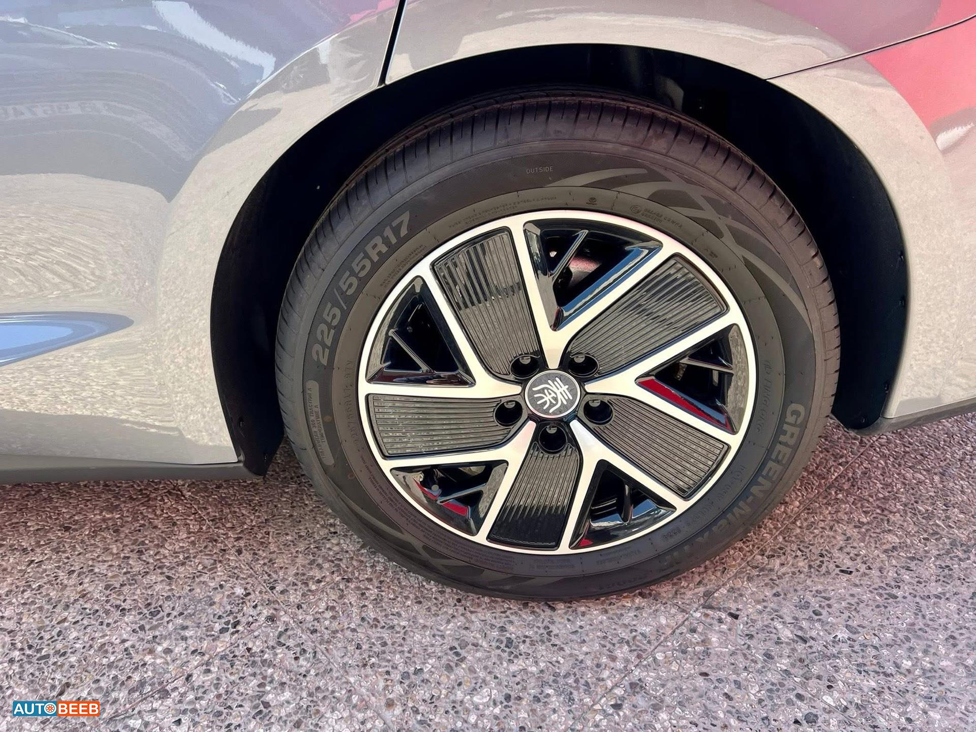 بي واي دي كين 2025