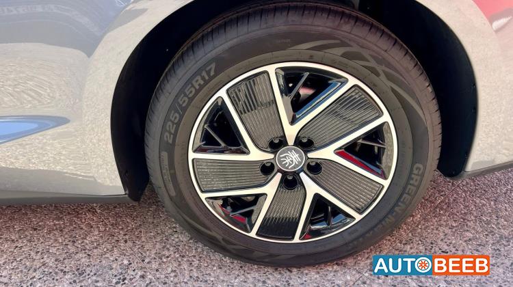 بي واي دي كين 2025