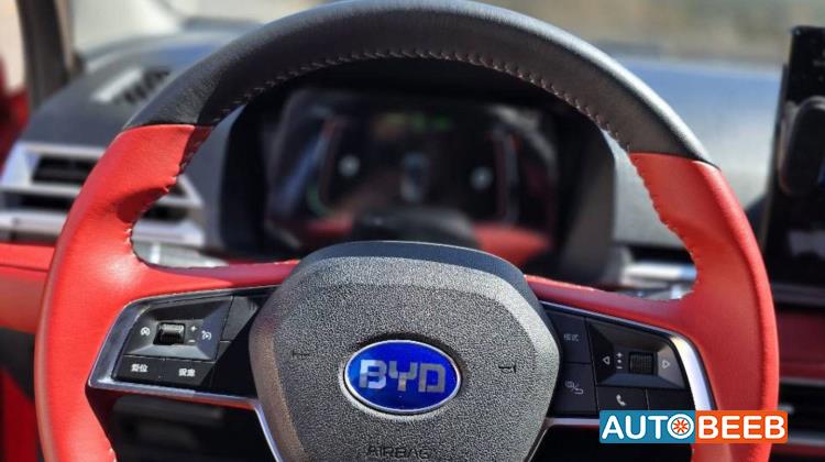 بي واي دي E2 2021