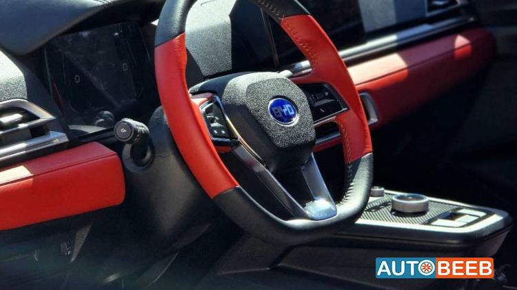 بي واي دي E2 2021