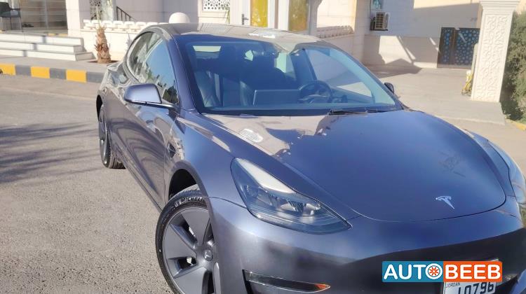 تيسلا 3 2023