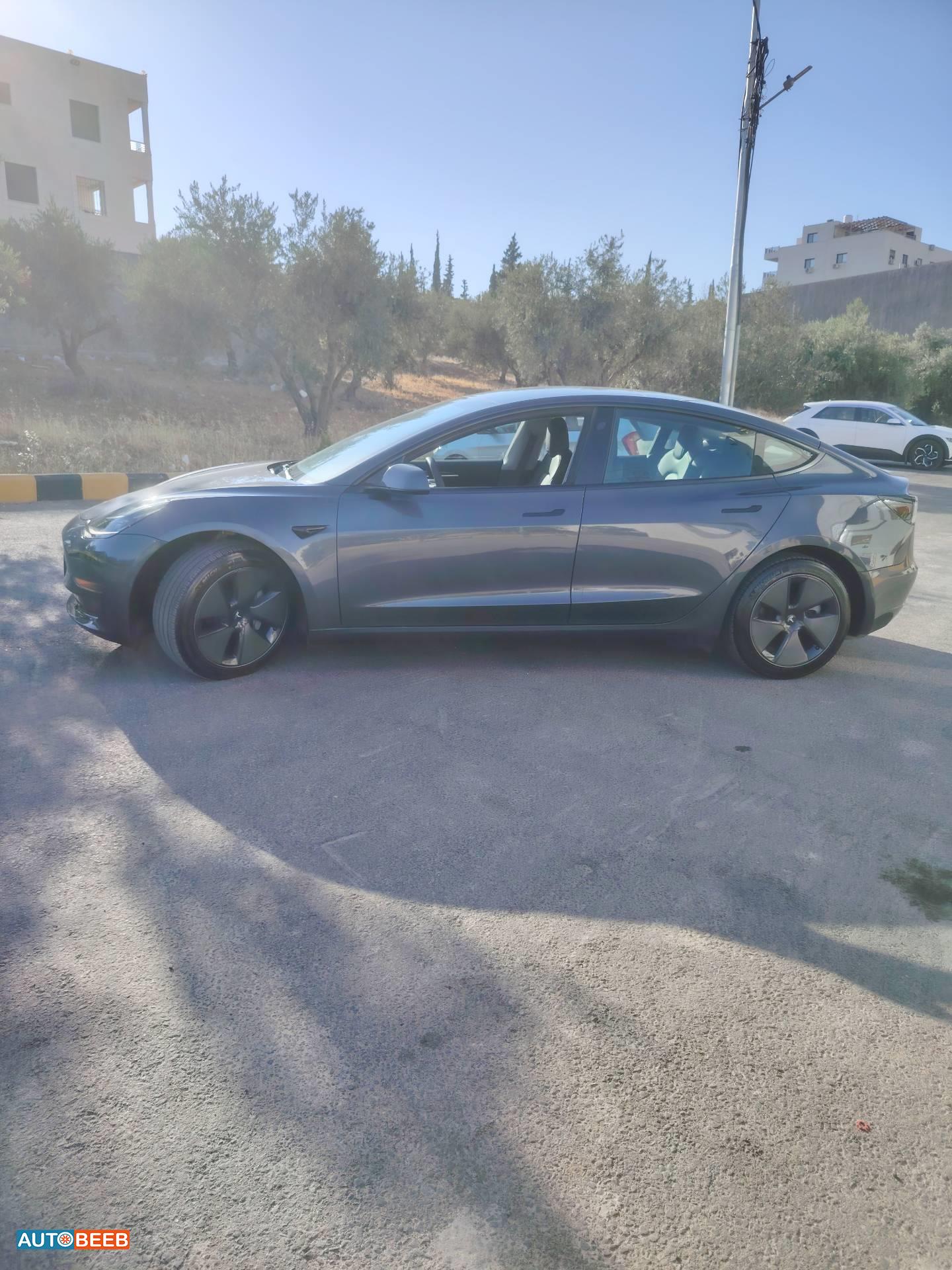 تيسلا 3 2023
