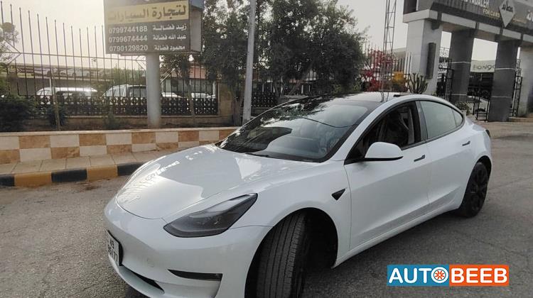 Tesla 3 2023