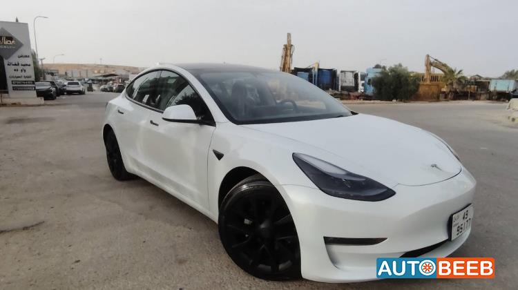 Tesla 3 2023