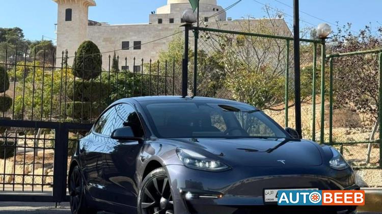 Tesla 3 2022