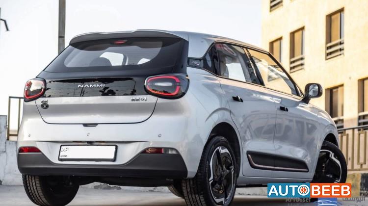 دونج فينج نامي بوكس 2025