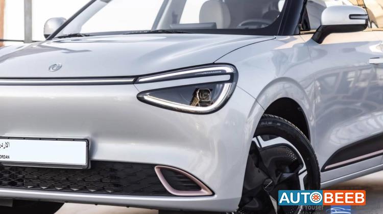 دونج فينج نامي بوكس 2025