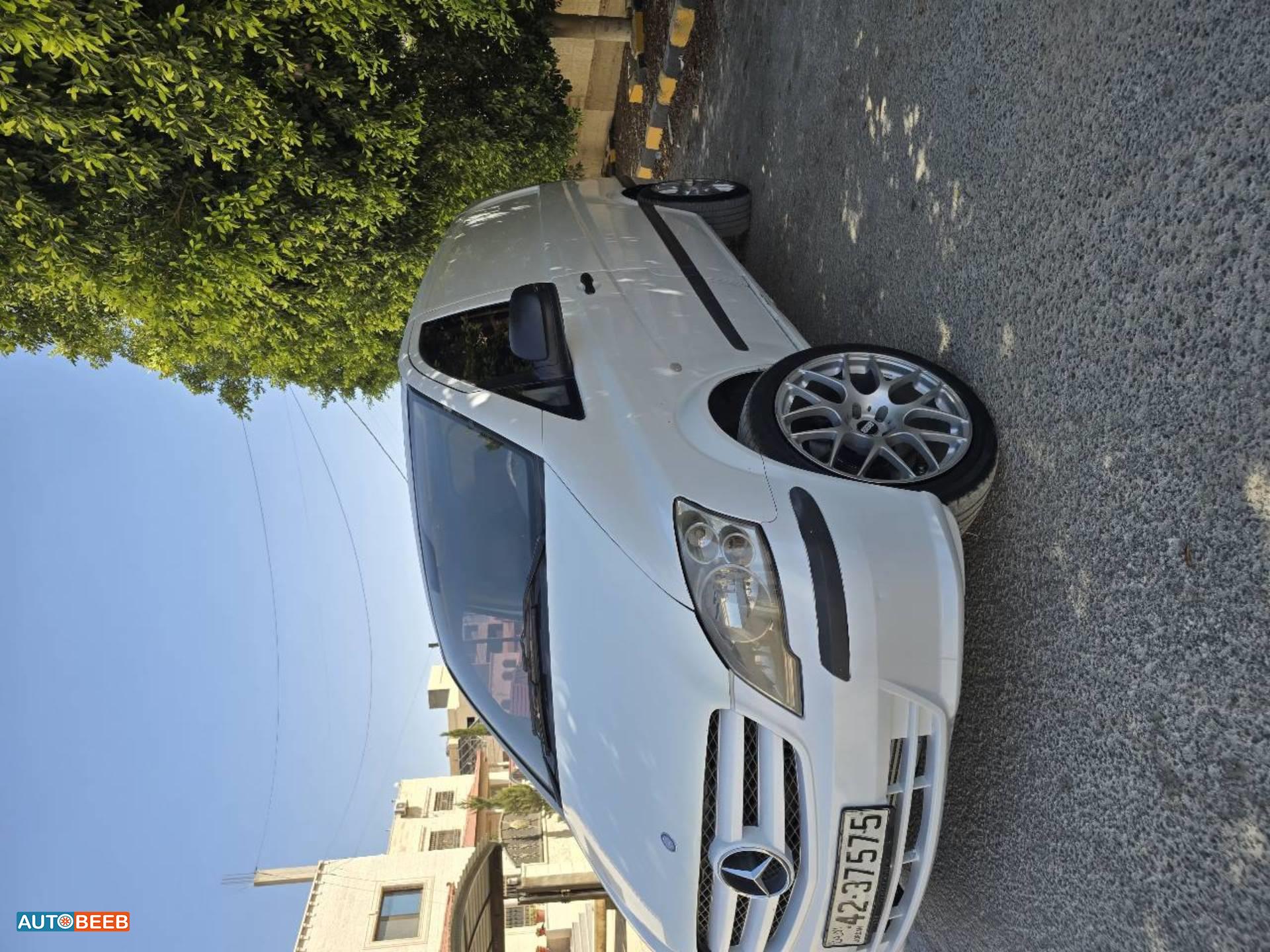 ميني فان مرسيدس بنز 2013