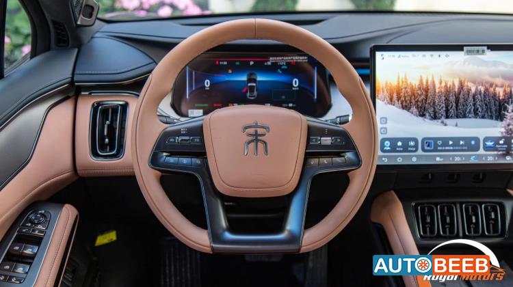 بي واي دي سونج ل 2024