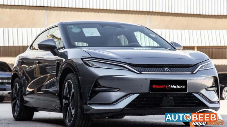 بي واي دي سونج ل 2024