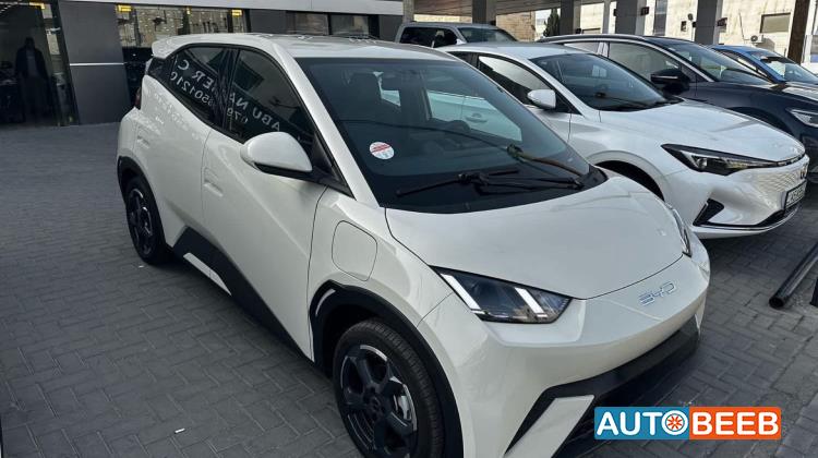 بي واي دي سيجول 2023