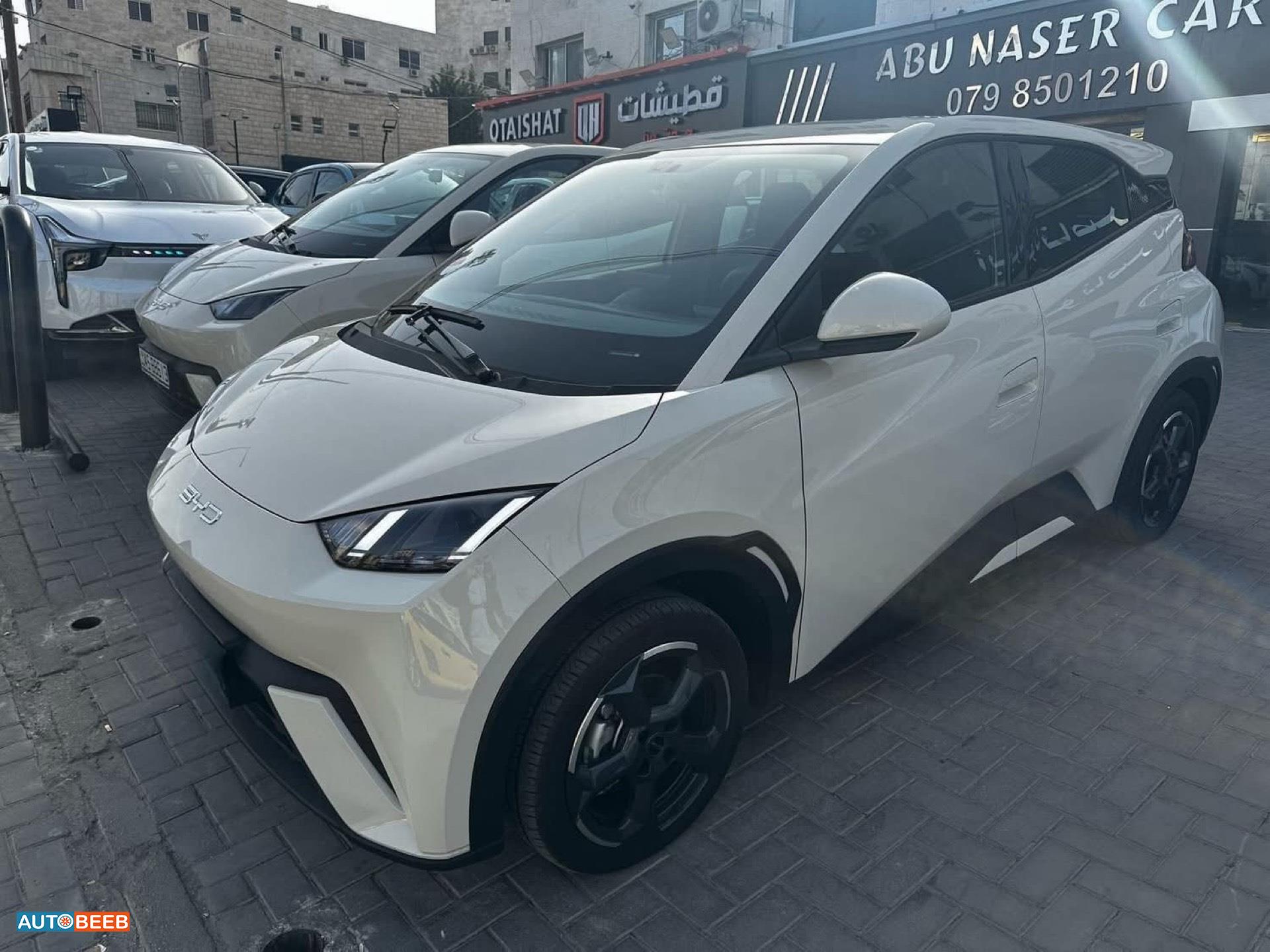 بي واي دي سيجول 2023