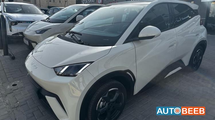 بي واي دي سيجول 2023