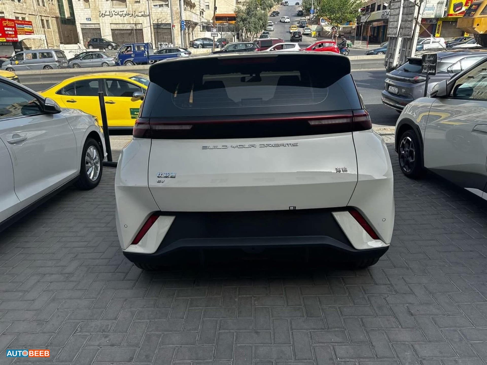 بي واي دي سيجول 2023