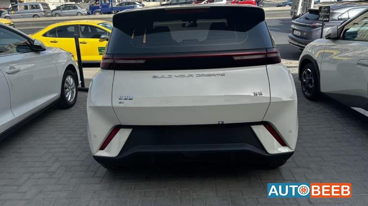 بي واي دي سيجول 2023