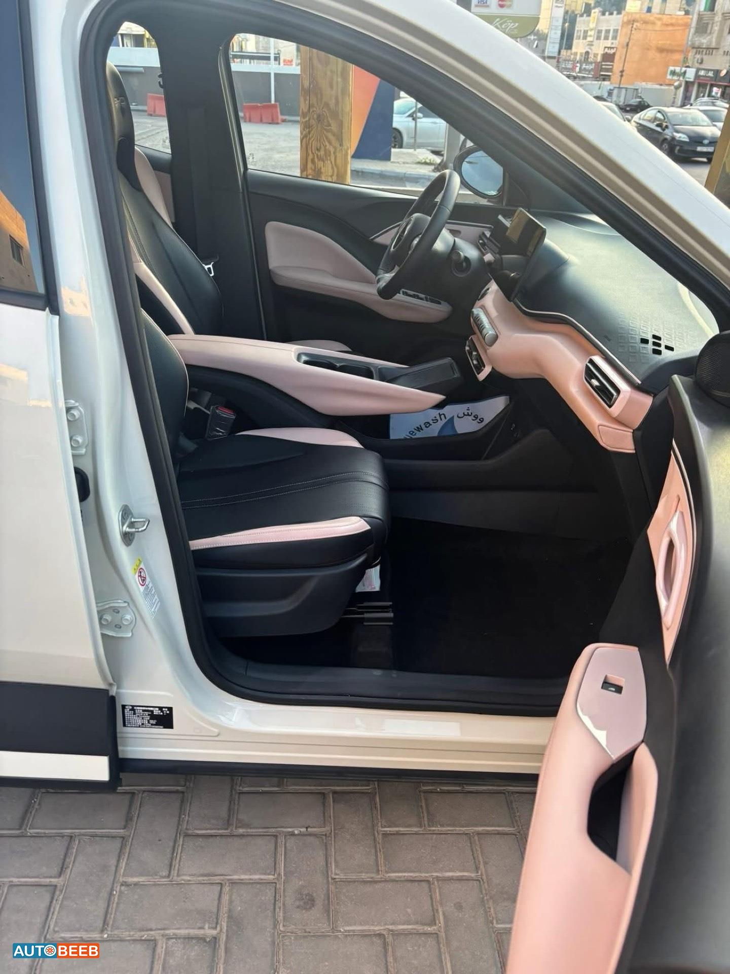 بي واي دي سيجول 2023