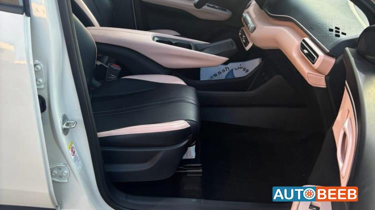 بي واي دي سيجول 2023