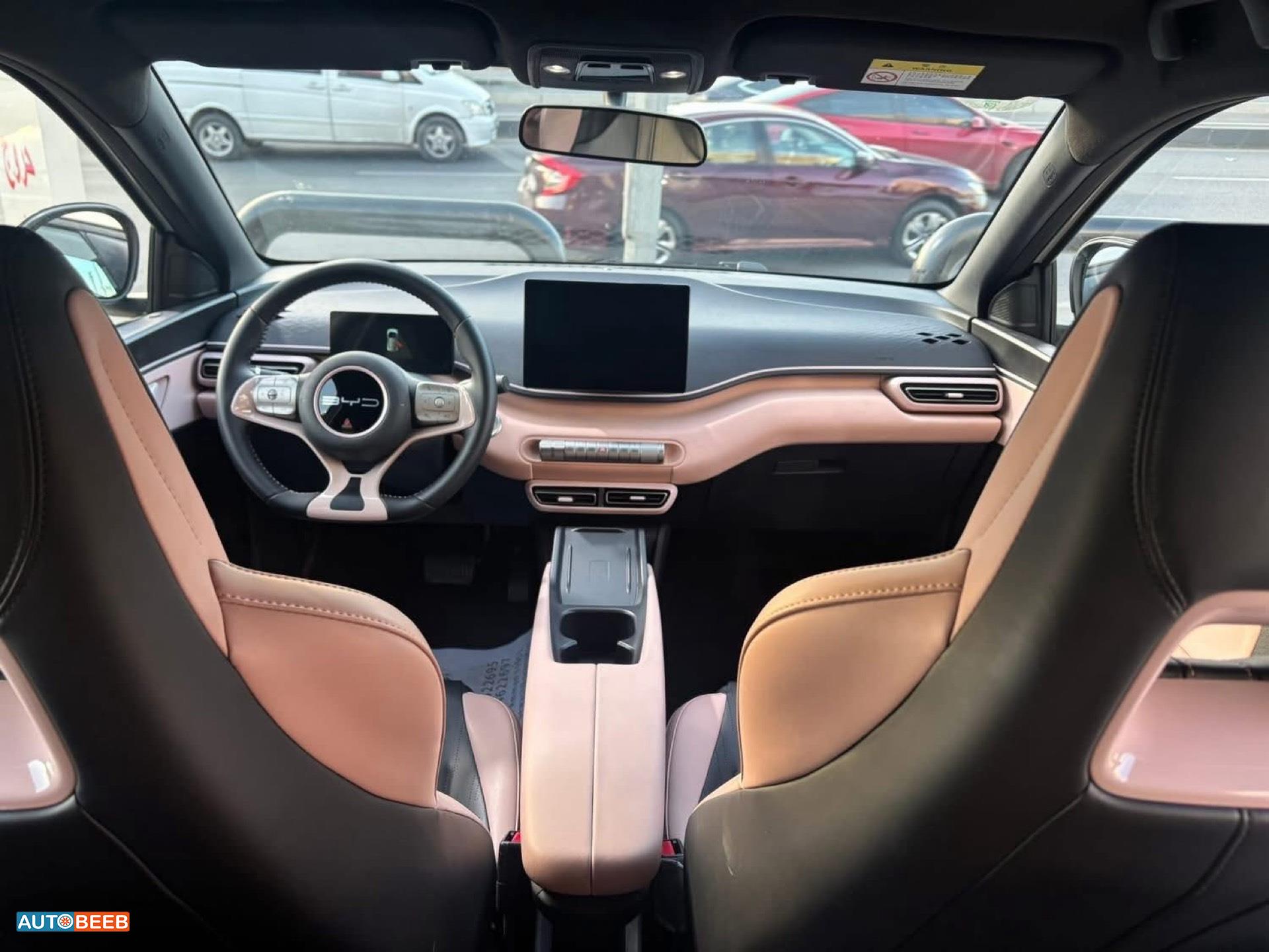 بي واي دي سيجول 2023