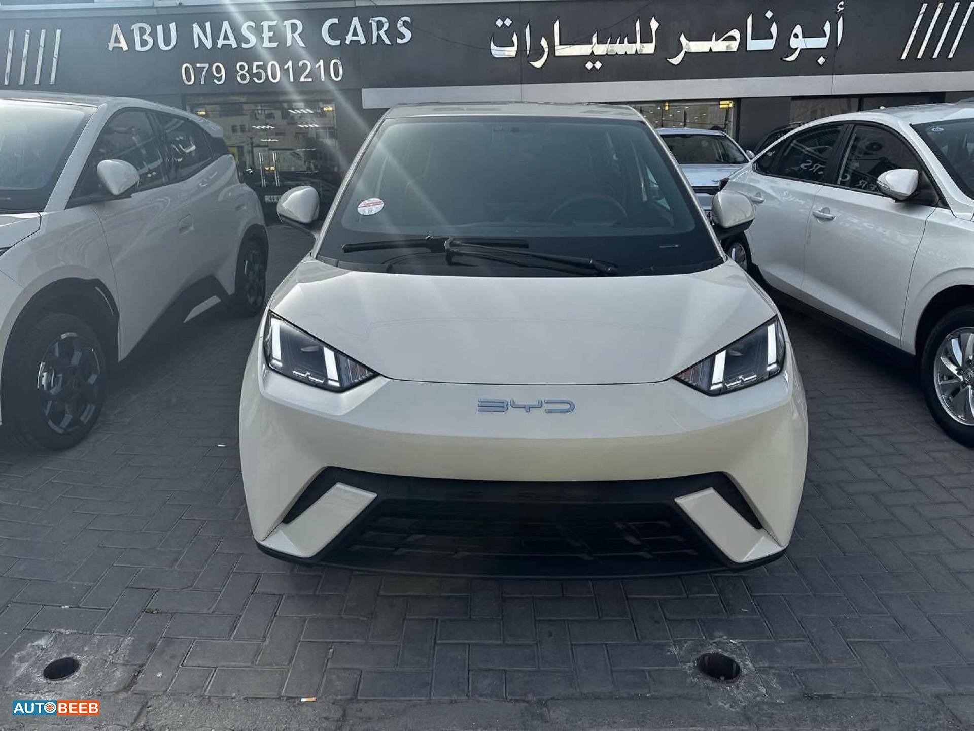 بي واي دي سيجول 2023