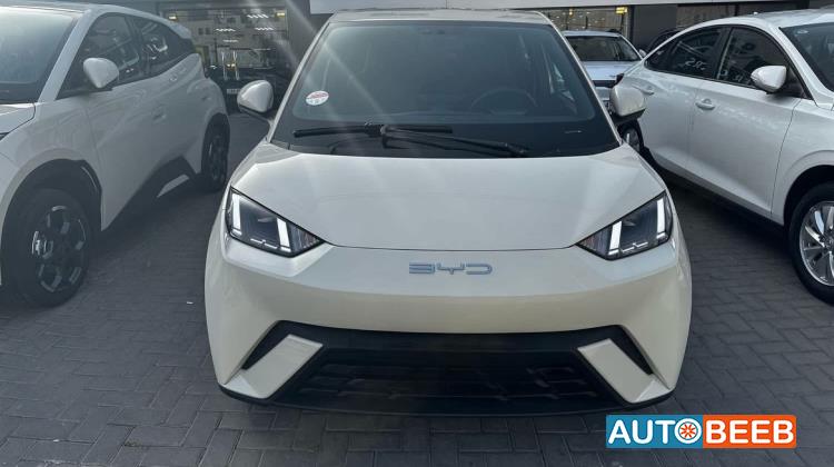 بي واي دي سيجول 2023