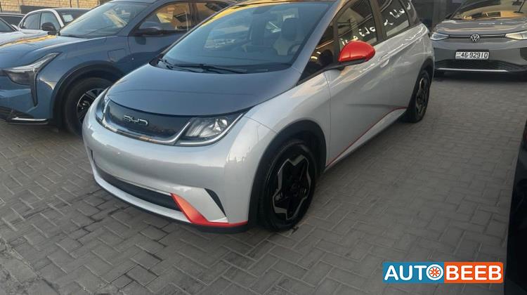 BYD Dolphin 2022